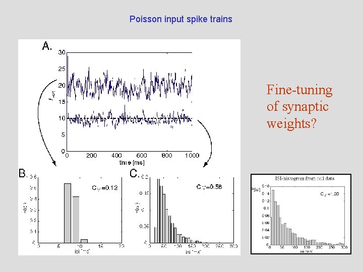 Poisson input spike trains Fine-tuning of synaptic weights? 