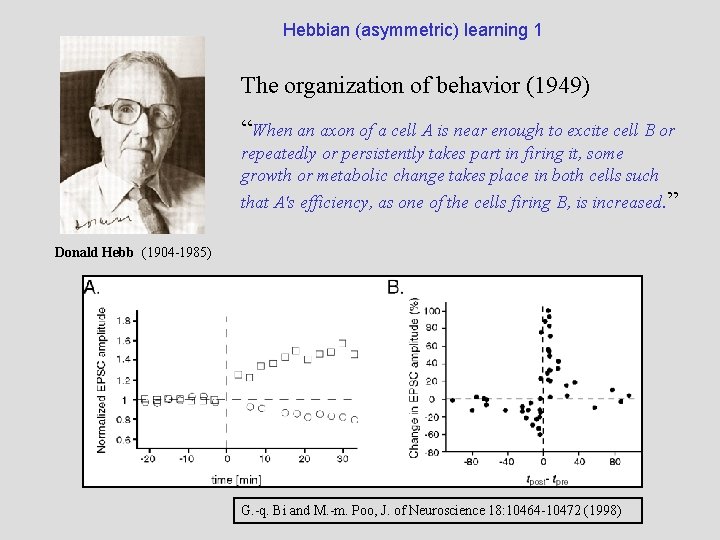 Hebbian (asymmetric) learning 1 The organization of behavior (1949) “When an axon of a