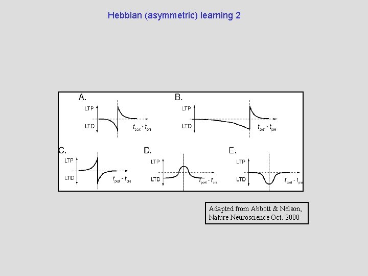 Hebbian (asymmetric) learning 2 Adapted from Abbott & Nelson, Nature Neuroscience Oct. 2000 