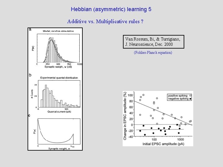 Hebbian (asymmetric) learning 5 Additive vs. Multiplicative rules ? Van Rossum, Bi, & Turrigiano,