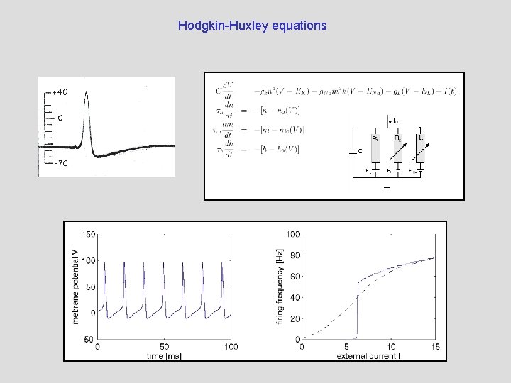 Hodgkin-Huxley equations 
