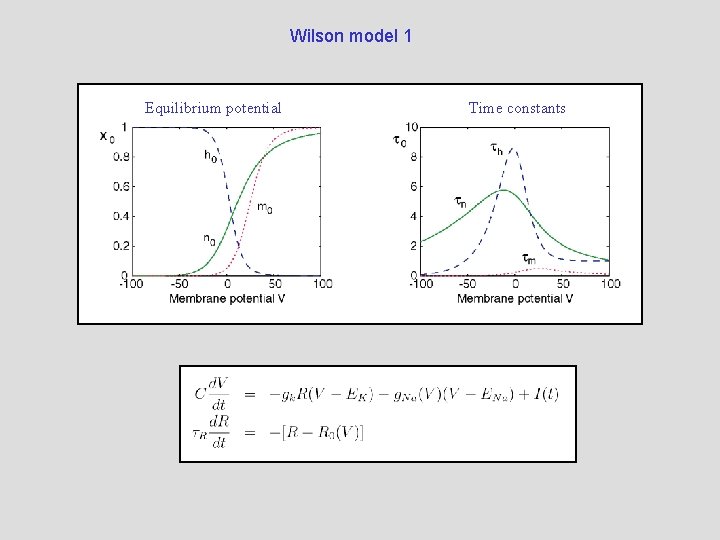 Wilson model 1 Equilibrium potential Time constants 