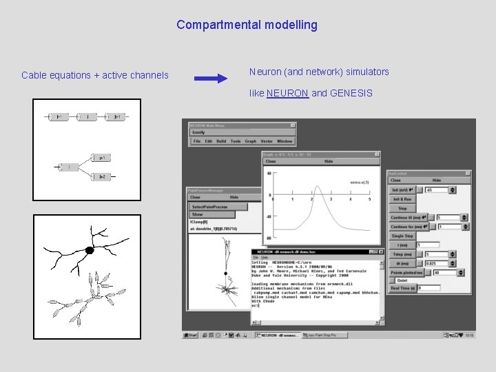 Compartmental modelling Cable equations + active channels Neuron (and network) simulators like NEURON and