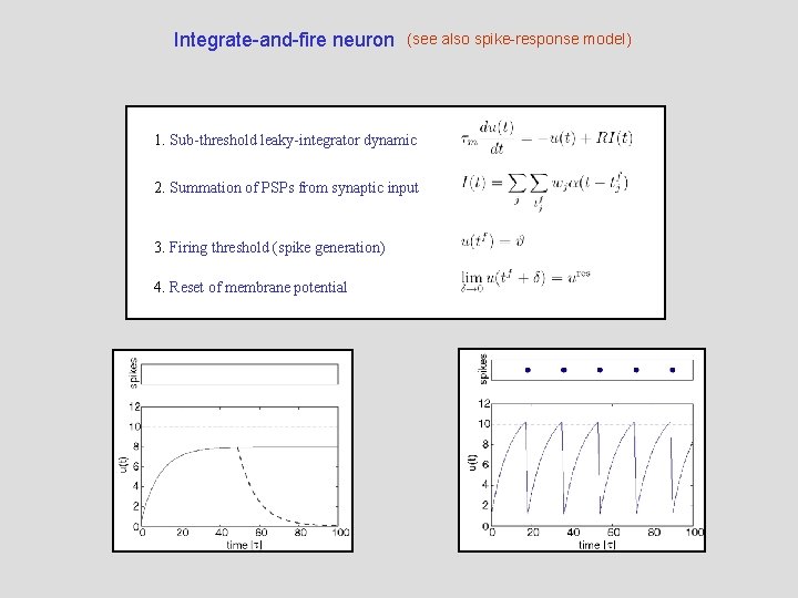 Integrate-and-fire neuron (see also spike-response model) 1. Sub-threshold leaky-integrator dynamic 2. Summation of PSPs
