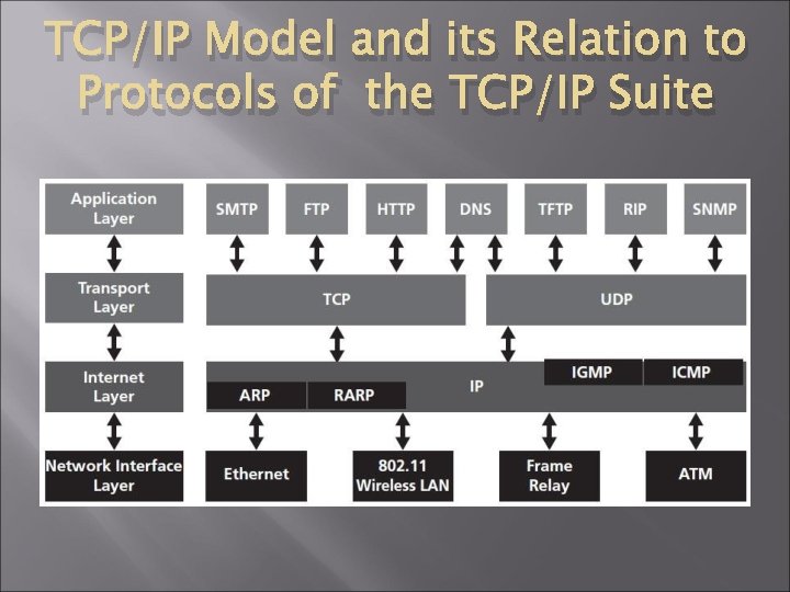 TCP/IP Model and its Relation to Protocols of the TCP/IP Suite 
