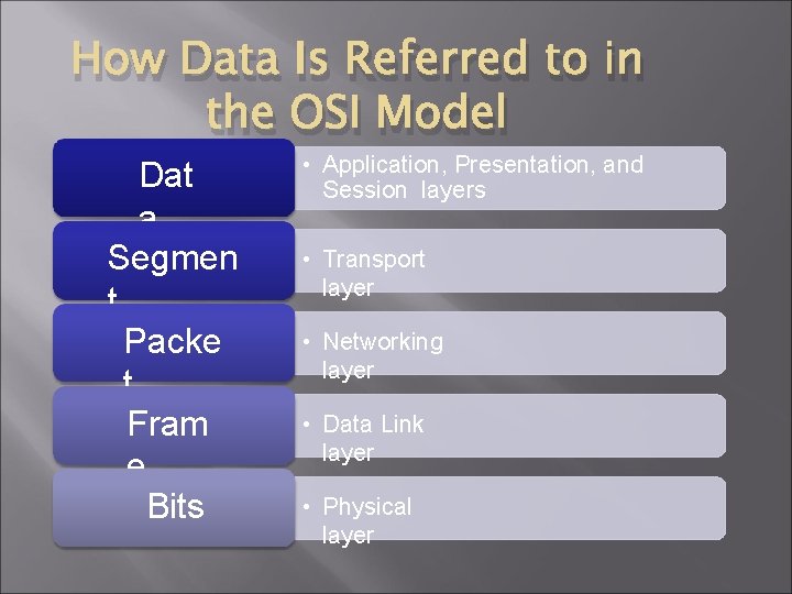 How Data Is Referred to in the OSI Model Dat a Segmen t Packe