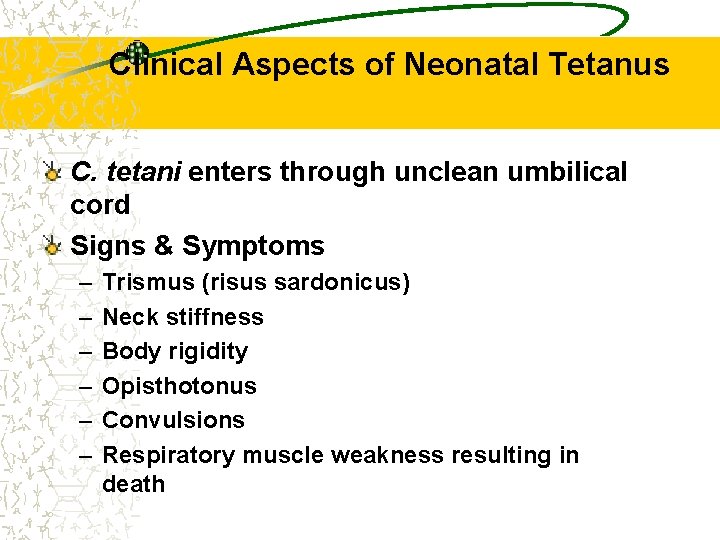 Clinical Aspects of Neonatal Tetanus C. tetani enters through unclean umbilical cord Signs &