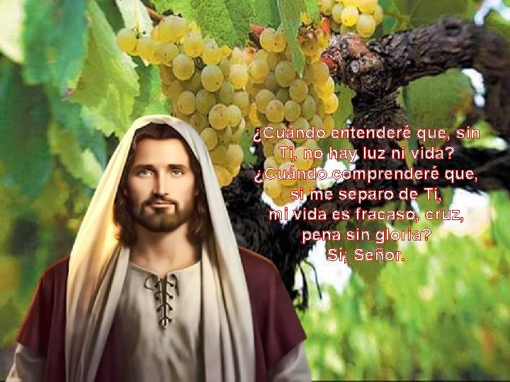 ¿Cuándo entenderé que, sin Ti, no hay luz ni vida? ¿Cuándo comprenderé que, si