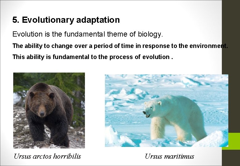 5. Evolutionary adaptation Evolution is the fundamental theme of biology. The ability to change