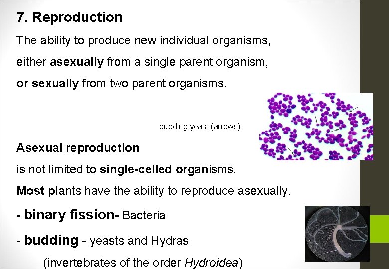 7. Reproduction The ability to produce new individual organisms, either asexually from a single