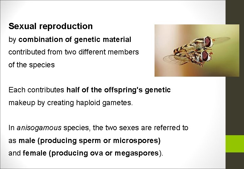 Sexual reproduction by combination of genetic material contributed from two different members of the