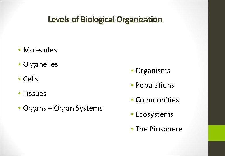 Levels of Biological Organization • Molecules • Organelles • Cells • Tissues • Organs