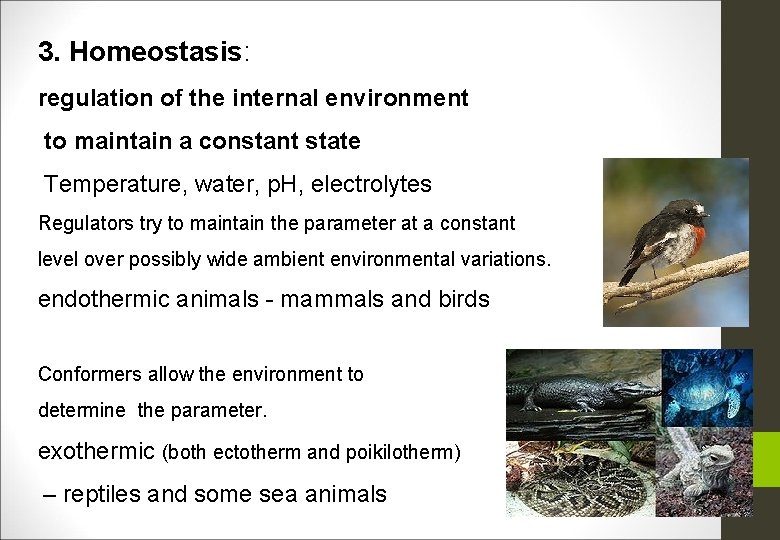 3. Homeostasis: regulation of the internal environment to maintain a constant state Temperature, water,