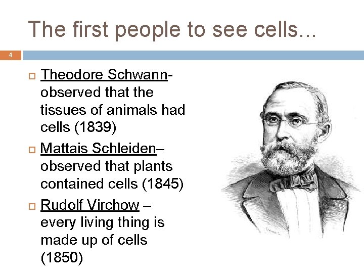 The first people to see cells. . . 4 Theodore Schwannobserved that the tissues