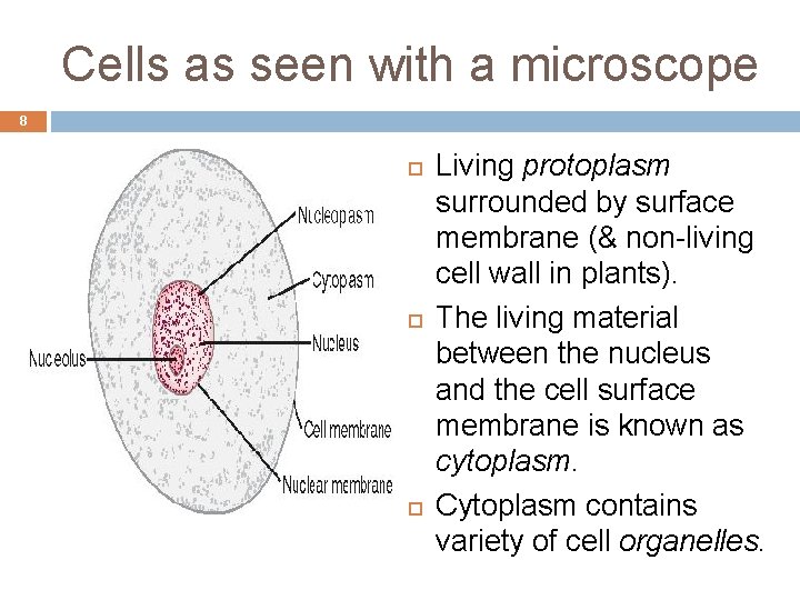 Cells as seen with a microscope 8 Living protoplasm surrounded by surface membrane (&