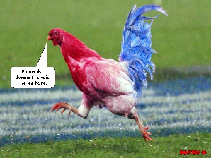 Putain ils dorment je vais me les faire. 