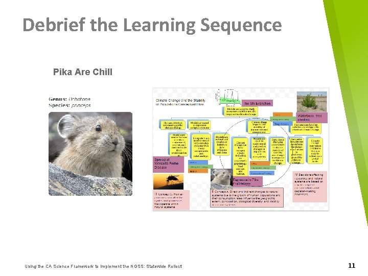 Debrief the Learning Sequence Pika Are Chill Using the CA Science Framework to Implement