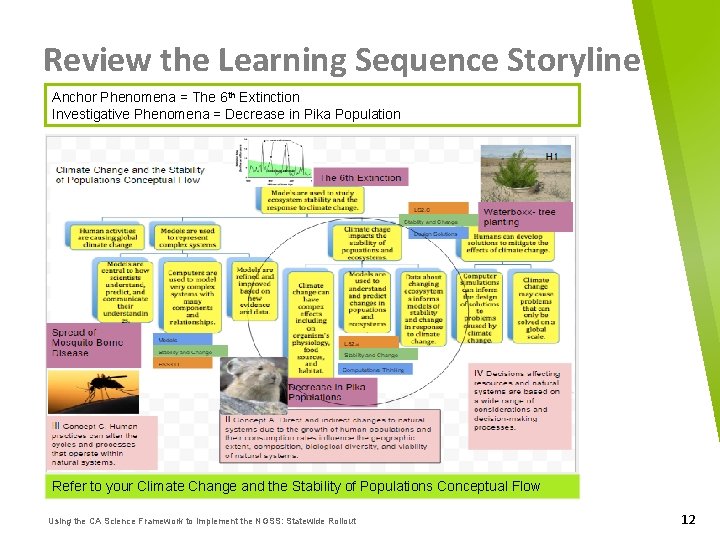 Review the Learning Sequence Storyline Anchor Phenomena = The 6 th Extinction Investigative Phenomena