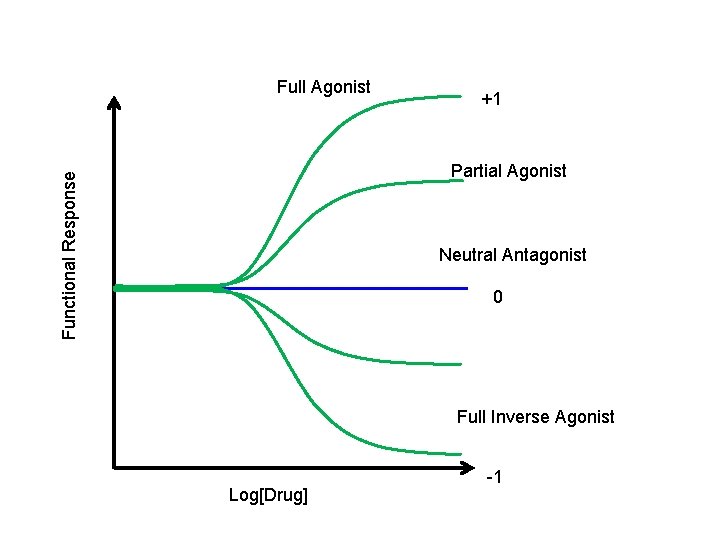 Full Agonist +1 Functional Response Partial Agonist Neutral Antagonist 0 Full Inverse Agonist Log[Drug]