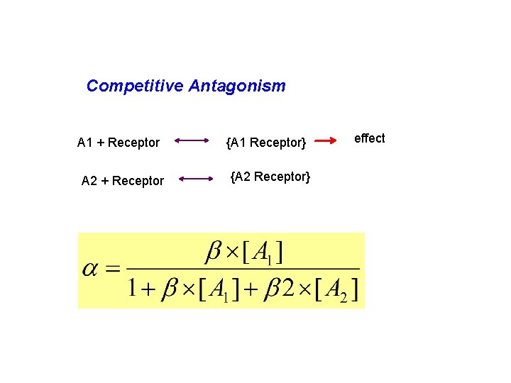 Competitive Antagonism A 1 + Receptor A 2 + Receptor {A 1 Receptor} {A