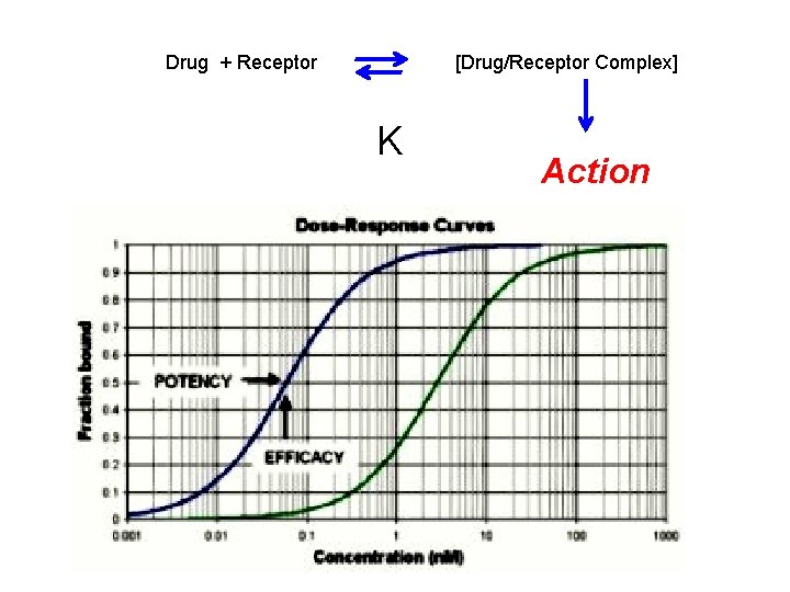 Drug + Receptor [Drug/Receptor Complex] K Action 