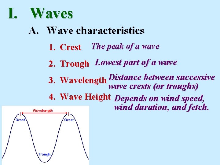 I. Waves A. Wave characteristics 1. Crest The peak of a wave 2. Trough I. Waves A. Wave characteristics 1. Crest The peak of a wave 2. Trough