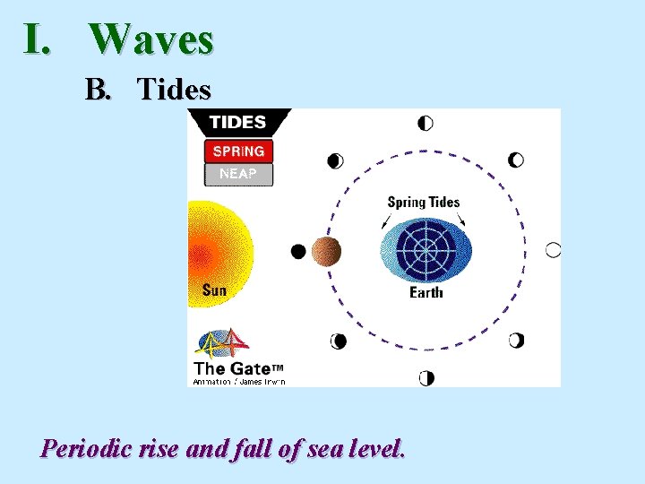 I. Waves B. Tides Periodic rise and fall of sea level. I. Waves B. Tides Periodic rise and fall of sea level.