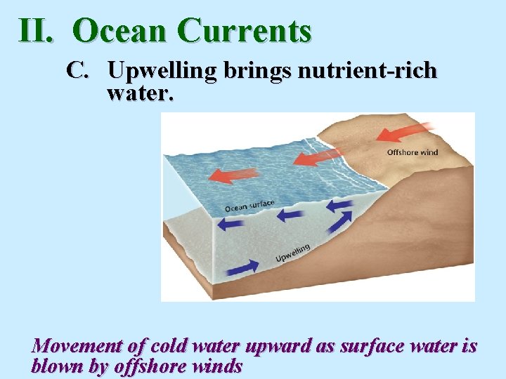 II. Ocean Currents C. Upwelling brings nutrient-rich water. Movement of cold water upward as II. Ocean Currents C. Upwelling brings nutrient-rich water. Movement of cold water upward as