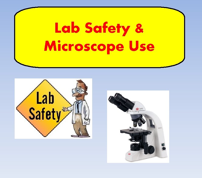 Lab Safety & Microscope Use 