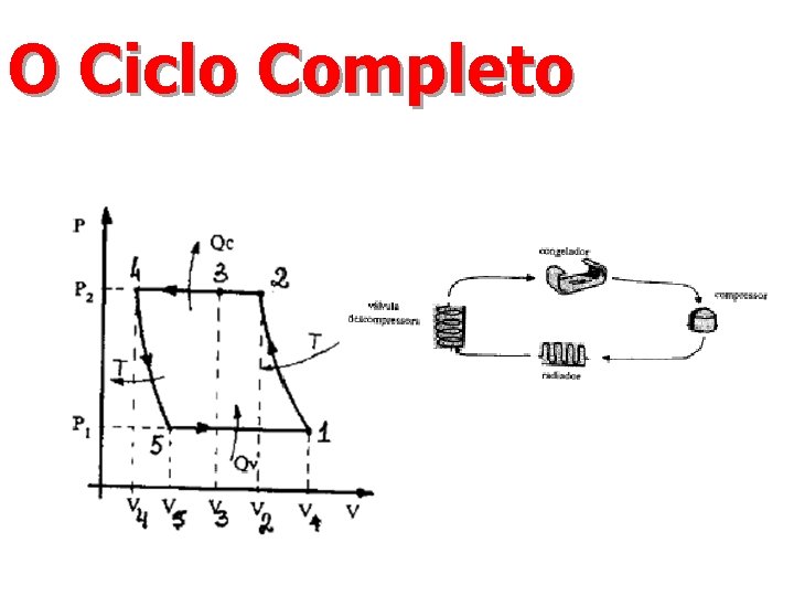 O Ciclo Completo 