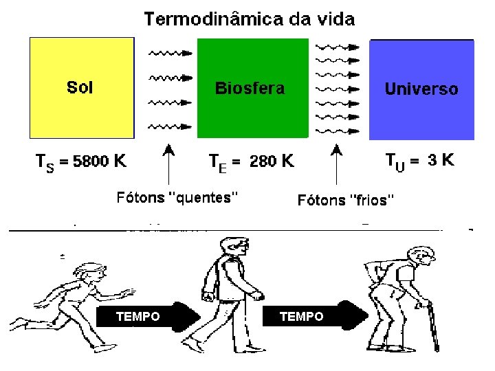 EXISTEM PROCESSOS IRREVERSÍVEIS TEMPO 