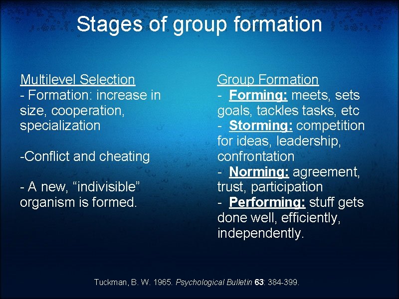 Stages of group formation Multilevel Selection - Formation: increase in size, cooperation, specialization -Conflict