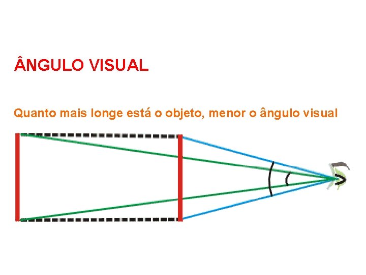  NGULO VISUAL Quanto mais longe está o objeto, menor o ângulo visual 
