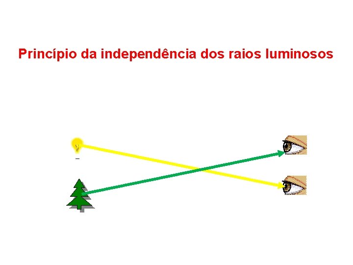Princípio da independência dos raios luminosos 
