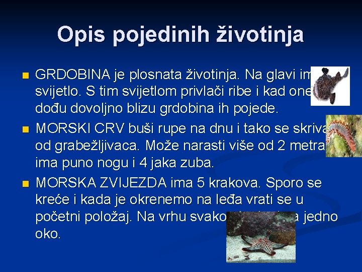 Opis pojedinih životinja n n n GRDOBINA je plosnata životinja. Na glavi ima svijetlo.