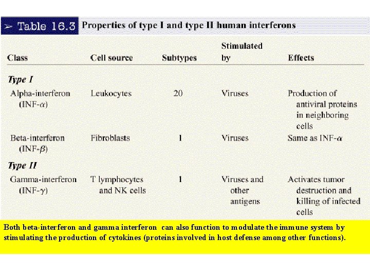 Both beta-interferon and gamma interferon can also function to modulate the immune system by