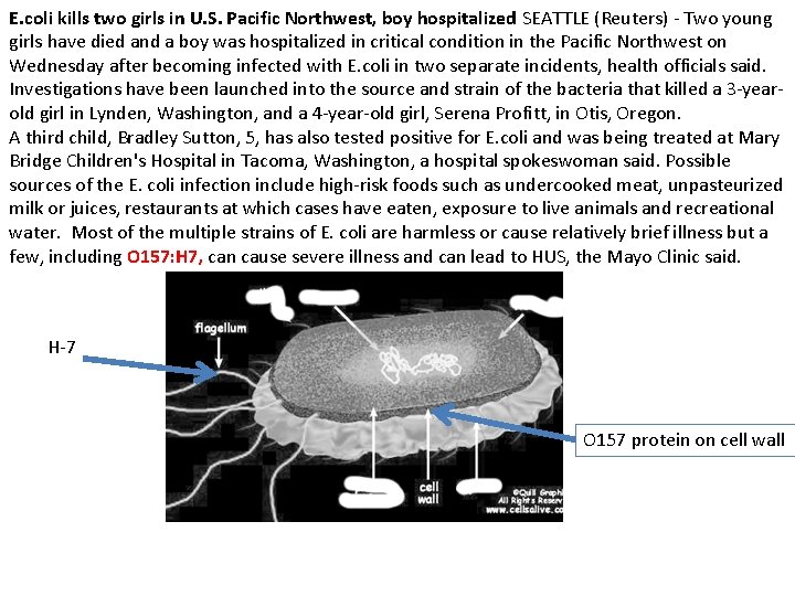 E. coli kills two girls in U. S. Pacific Northwest, boy hospitalized SEATTLE (Reuters)