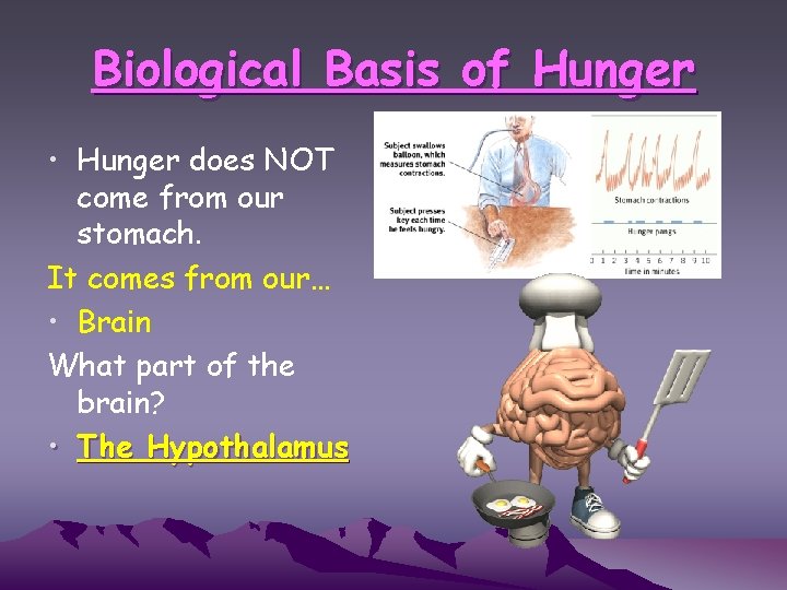 Biological Basis of Hunger • Hunger does NOT come from our stomach. It comes