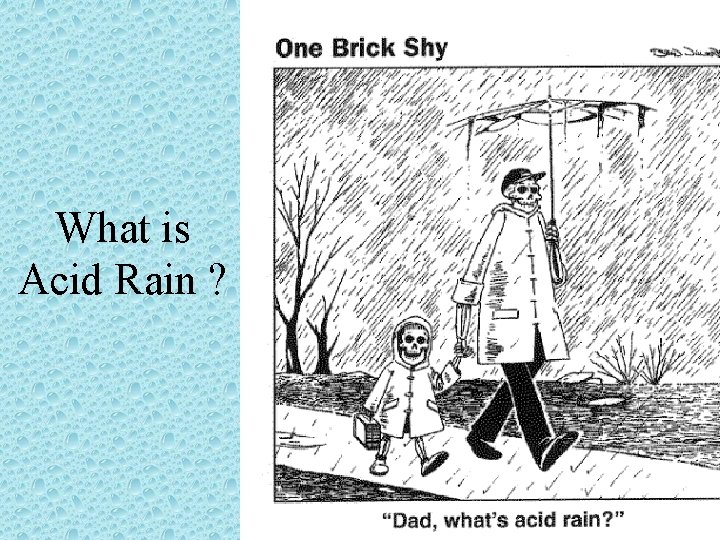 What is Acid Rain ? 