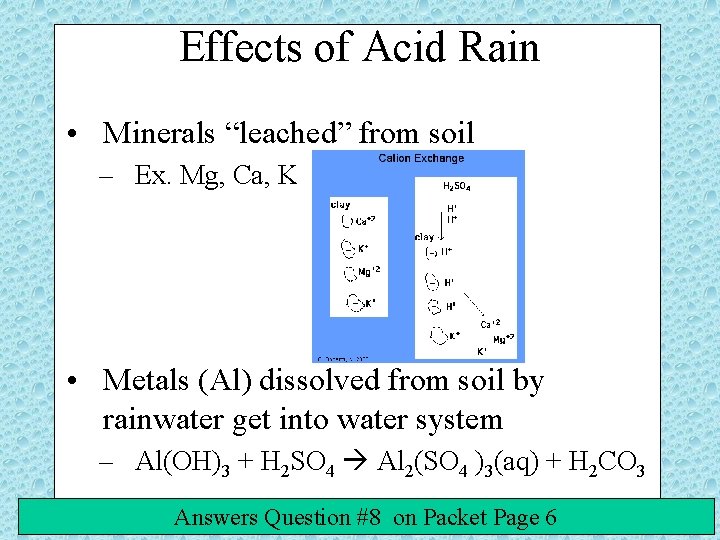 Effects of Acid Rain • Minerals “leached” from soil – Ex. Mg, Ca, K