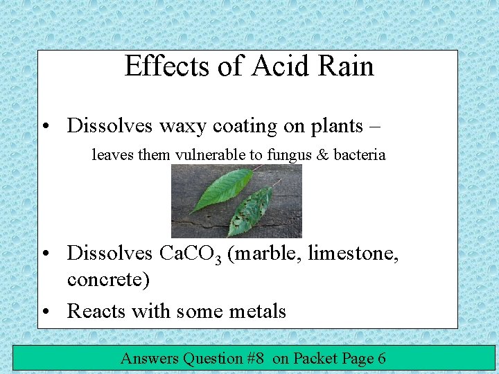 Effects of Acid Rain • Dissolves waxy coating on plants – leaves them vulnerable