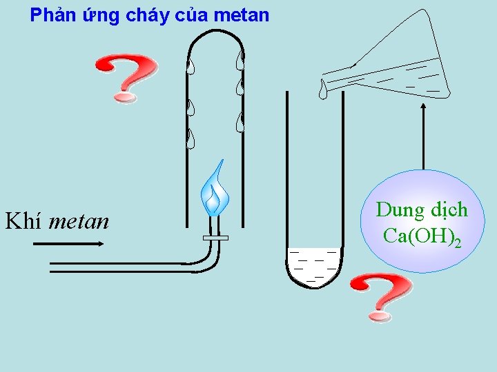 Phản ứng cháy của metan Khí metan Dung dịch Ca(OH)2 