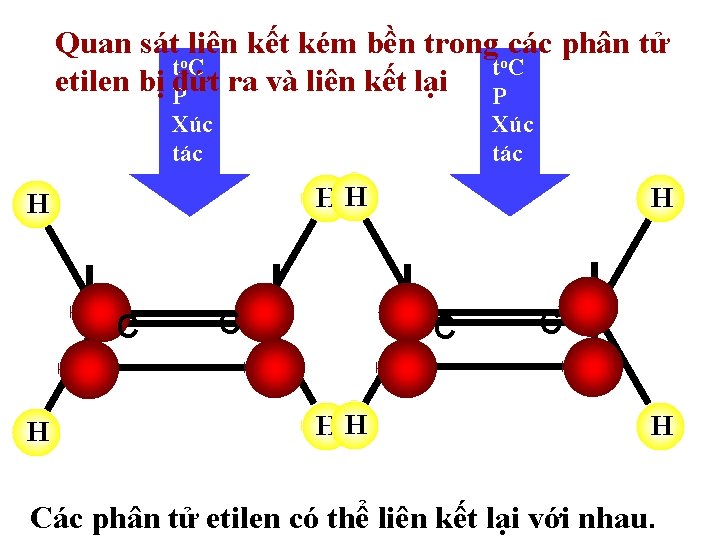 Quan sátoliên kết kém bền trong ocác phân tử t. C etilen bị Pđứt