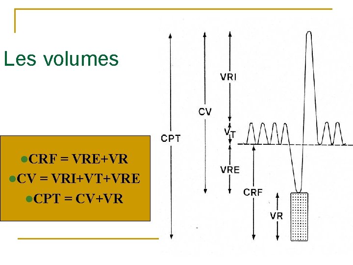 Les volumes l. CRF = VRE+VR l. CV = VRI+VT+VRE l. CPT = CV+VR