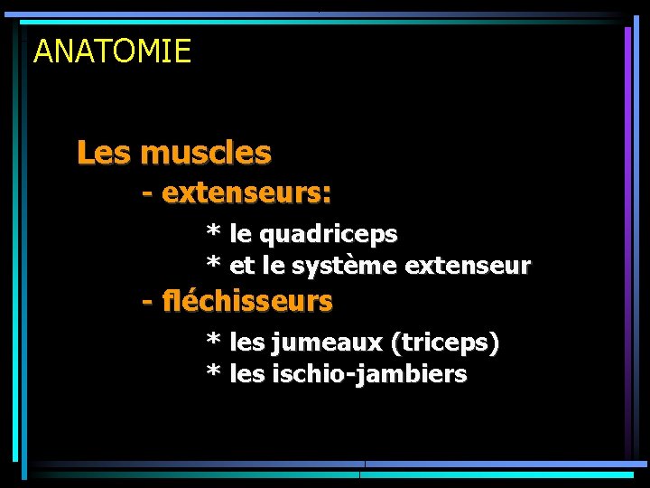 ANATOMIE Les muscles - extenseurs: * le quadriceps * et le système extenseur -