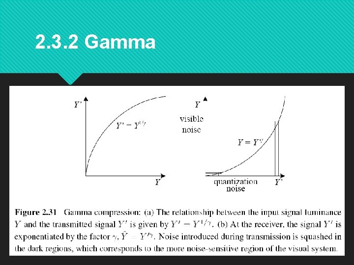 2. 3. 2 Gamma 