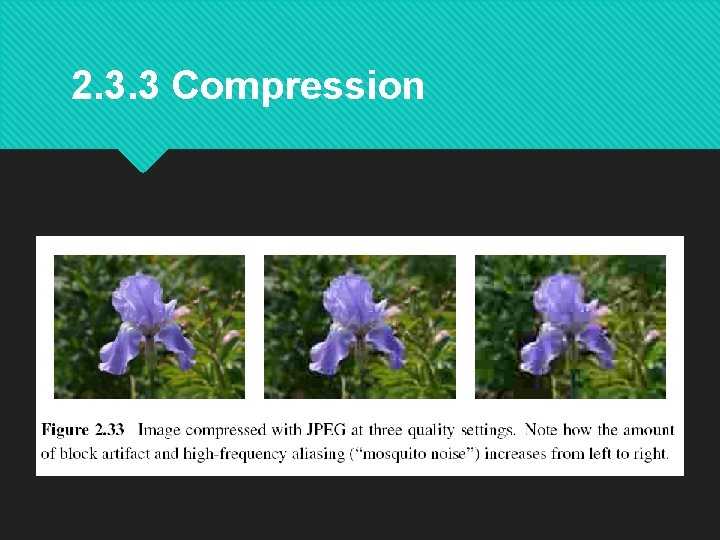 2. 3. 3 Compression JPEG (Joint Photographic Experts Group) 