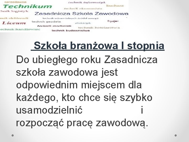 Szkoła branżowa I stopnia Do ubiegłego roku Zasadnicza szkoła zawodowa jest odpowiednim miejscem dla