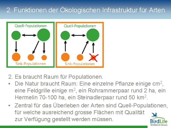 2. Funktionen der Ökologischen Infrastruktur für Arten 2. Es braucht Raum für Populationen. •