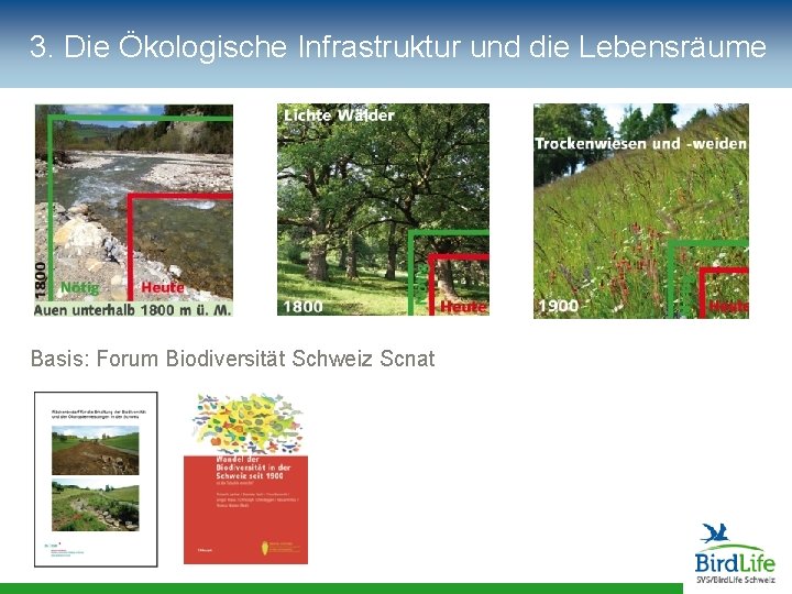 3. Die Ökologische Infrastruktur und die Lebensräume Basis: Forum Biodiversität Schweiz Scnat 